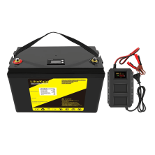Аккумулятор LiFePo4 LiitoKala 12V 100Ah LCD ЗУ