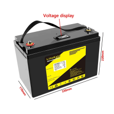 Аккумулятор LiFePo4 LiitoKala 12V 100Ah LCD ЗУ